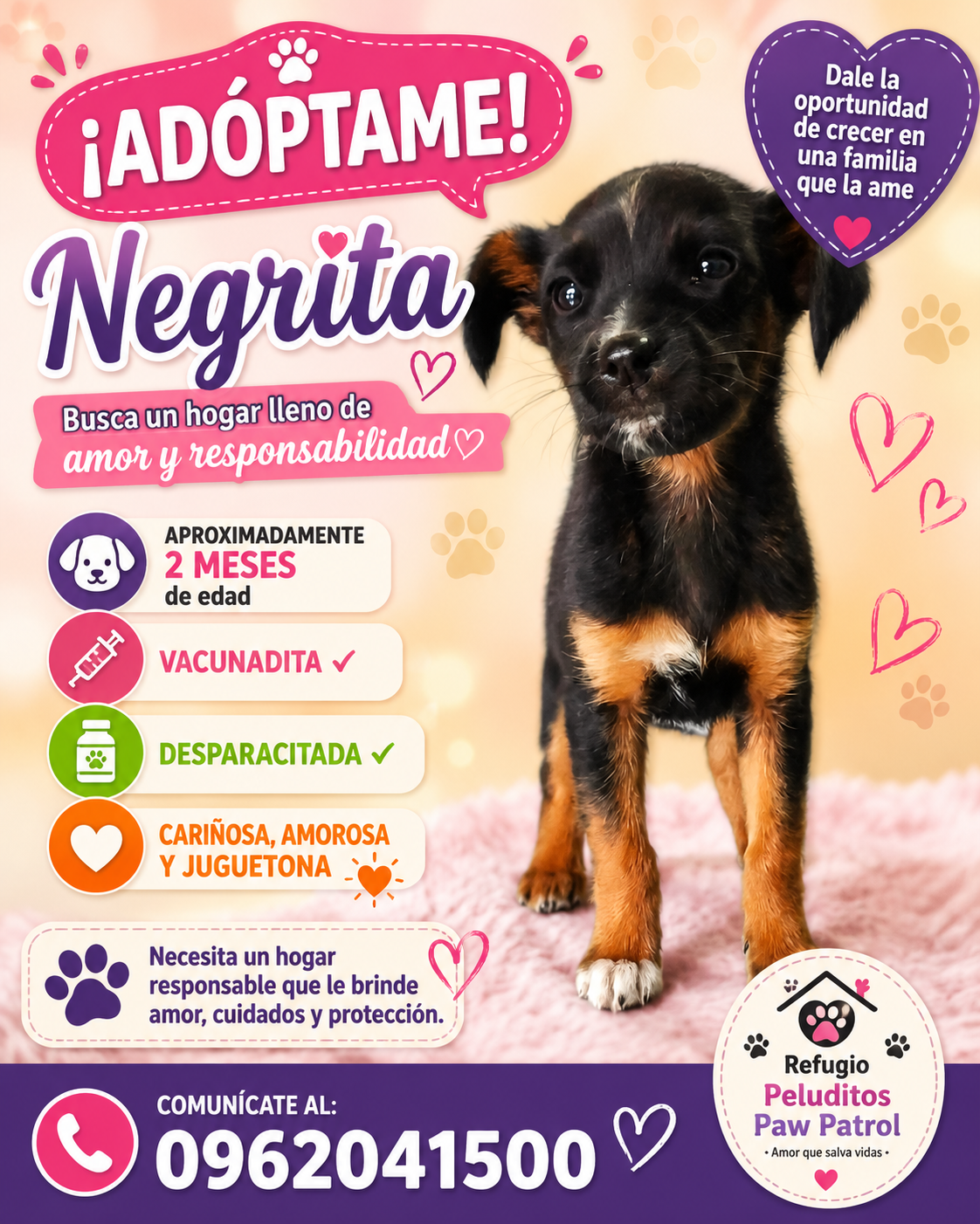 Negrita